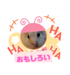 ハムスターのご挨拶（個別スタンプ：6）