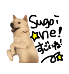 For Japanese Speakers (dog)（個別スタンプ：29）