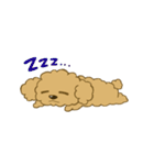 ふわといぷぅ（個別スタンプ：39）
