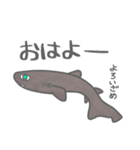 40 sharks サメづくし（個別スタンプ：1）