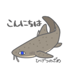 40 sharks サメづくし（個別スタンプ：2）