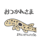 40 sharks サメづくし（個別スタンプ：5）
