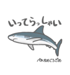 40 sharks サメづくし（個別スタンプ：13）
