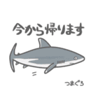 40 sharks サメづくし（個別スタンプ：15）