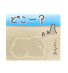 40 sharks サメづくし（個別スタンプ：16）