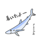 40 sharks サメづくし（個別スタンプ：18）