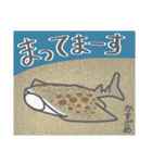 40 sharks サメづくし（個別スタンプ：20）
