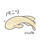 40 sharks サメづくし（個別スタンプ：27）