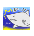 40 sharks サメづくし（個別スタンプ：28）