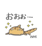 40 sharks サメづくし（個別スタンプ：31）