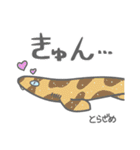 40 sharks サメづくし（個別スタンプ：37）