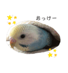 ぴぴちゃん〜日常〜（個別スタンプ：4）