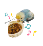 ぴぴちゃん〜日常〜（個別スタンプ：15）