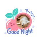 ぷぅた(459)（個別スタンプ：2）