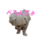 ぷぅた(459)（個別スタンプ：3）