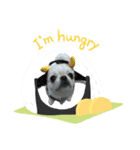 ぷぅた(459)（個別スタンプ：4）