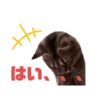 茶々No.1（個別スタンプ：7）