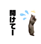 茶々No.1（個別スタンプ：8）