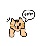 いつもねむいねこのスタンプvol2（個別スタンプ：6）