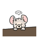 字幕犬 ヨークシャーテリア（個別スタンプ：36）