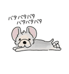 字幕犬 ヨークシャーテリア（個別スタンプ：37）
