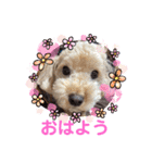 もか・ちょこ・みるく・ラブ♡（個別スタンプ：1）