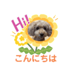 もか・ちょこ・みるく・ラブ♡（個別スタンプ：2）