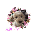 もか・ちょこ・みるく・ラブ♡（個別スタンプ：3）