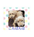 もか・ちょこ・みるく・ラブ♡（個別スタンプ：4）