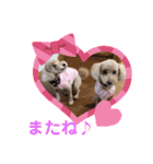もか・ちょこ・みるく・ラブ♡（個別スタンプ：6）