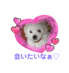 もか・ちょこ・みるく・ラブ♡（個別スタンプ：8）