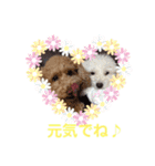 もか・ちょこ・みるく・ラブ♡（個別スタンプ：10）