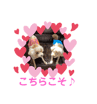 もか・ちょこ・みるく・ラブ♡（個別スタンプ：13）