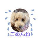 もか・ちょこ・みるく・ラブ♡（個別スタンプ：14）