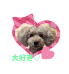 もか・ちょこ・みるく・ラブ♡（個別スタンプ：15）