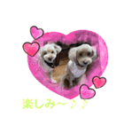 もか・ちょこ・みるく・ラブ♡（個別スタンプ：16）