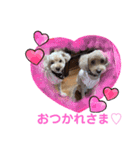 もか・ちょこ・みるく・ラブ♡（個別スタンプ：21）