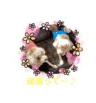 もか・ちょこ・みるく・ラブ♡（個別スタンプ：24）