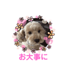 もか・ちょこ・みるく・ラブ♡（個別スタンプ：26）