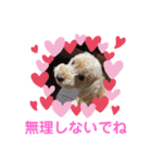 もか・ちょこ・みるく・ラブ♡（個別スタンプ：27）