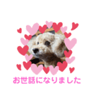 もか・ちょこ・みるく・ラブ♡（個別スタンプ：30）