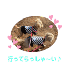 もか・ちょこ・みるく・ラブ♡（個別スタンプ：33）