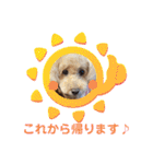 もか・ちょこ・みるく・ラブ♡（個別スタンプ：35）