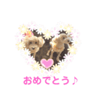 もか・ちょこ・みるく・ラブ♡（個別スタンプ：36）