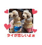 もか・ちょこ・みるく・ラブ♡（個別スタンプ：38）