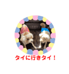 もか・ちょこ・みるく・ラブ♡（個別スタンプ：39）