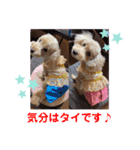 もか・ちょこ・みるく・ラブ♡（個別スタンプ：40）
