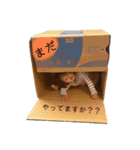 大川家孫孫スタンプ（個別スタンプ：19）