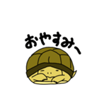 ロシアリクガメのスタンプ（個別スタンプ：5）