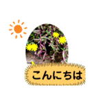 花で癒し（個別スタンプ：1）